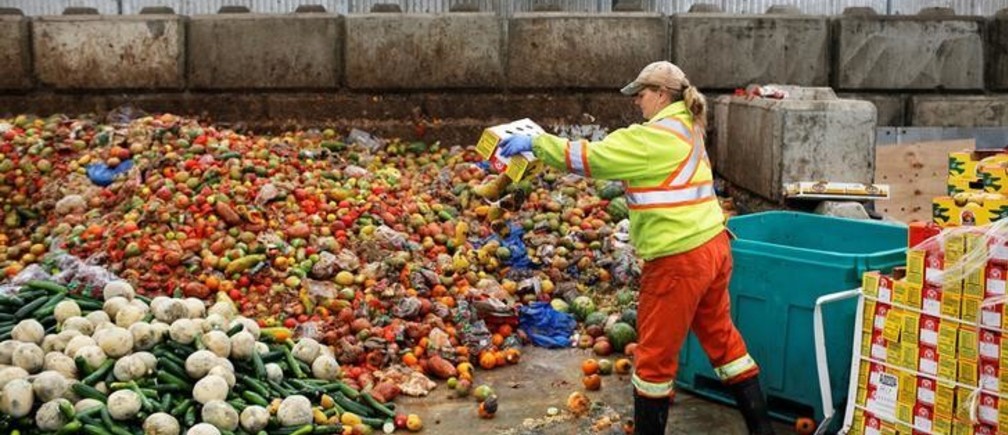 The Importance of Waste Collection and Management in Business